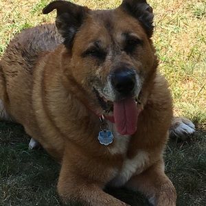 Meet your Posher, Erik